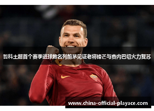 哲科土超首个赛季进球数名列前茅见证老将锋芒与费内巴切火力复苏 哲科土超首个赛季进球数名列前茅见证老将锋芒与费内巴切火力复苏